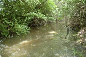 začiatok TMP